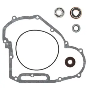821891 Arrowhead Engineering Vertex Water Pump Rebuild Kit 821891 Arrowhead Engineering Vertex Water Pump Rebuild Kit