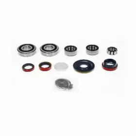 Stk235-b Skf Manual Transmission Bearing And Seal Rebuild Kit