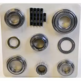 Stk3650 Skf M/t Trans Kit