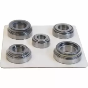 Stkfc200 Skf Manual Transmission Bearing And Seal Rebuild Kit