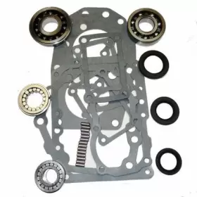 Zmbk100 Usa Standard Gear L52 Transmission Bearing/seal Kit 80 84 Pickup 5