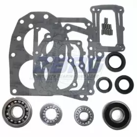 Zmbk160 Usa Standard Gear G40/g50/g52/g54 Transmission Bearing/seal Kit 79 95