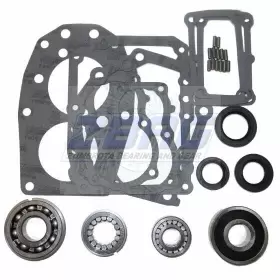 Zmbk161l Usa Standard Gear