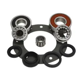 Zmbk163j Usa Standard Gear Ax15 Transmission Bearing/seal Kit For Cher Jeep