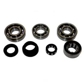 Zmbk416 Usa Standard Gear Manual Transmission Bearing And Seal Overhaul Kit-nv1500/mw2