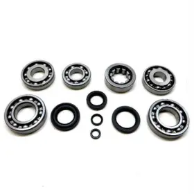 Zmbk499 Usa Standard Gear Slw Transmission Bearing/seal Kit 01 05 Civ For Honda