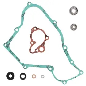 821212 Vertex Pistons Arrowhead Engineering Water Pump Rebuild Kit