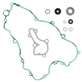 821327 Vertex Pistons Arrowhead Engineering Water Pump Rebuild Kit