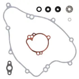 821417 Vertex Pistons Arrowhead Engineering Water Pump Rebuild Kit