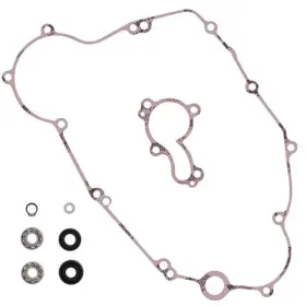 821469 Vertex Pistons Arrowhead Engineering Water Pump Rebuild Kit