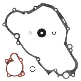 821665 Vertex Pistons Arrowhead Engineering Water Pump Rebuild Kit