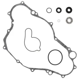 821679 Vertex Pistons Arrowhead Engineering Water Pump Rebuild Kit