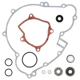 821831 Vertex Pistons Arrowhead Engineering Water Pump Rebuild Kit