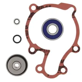 821876 Vertex Pistons Arrowhead Engineering Water Pump Rebuild Kit