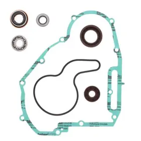 821962 Vertex Pistons Arrowhead Engineering Water Pump Rebuild Kit