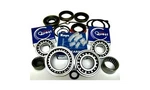 Complete Bearing & Seal Kit Np Transfer Case Jeep 1994-ON (BK231J) New. Price: $80.50.