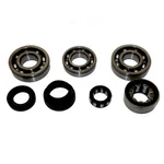 Usa Standard Gear ZMBK416 Manual Trans NV1500 Bearing Kit For 96+ Gm S10 5-SPD New. Price: $92.89.