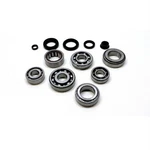 Usa Standard Manual Transmission Bearing Kit 1994+ Acura Integra Gs 1.8L 5-SPD New. Price: $253.95.