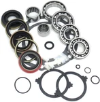 Complete Bearing & Seal Kit Transfer Case NP231J Jeep 1994-ON (BK231J) New. Price: $79.95.