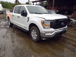 Automatic Transmission With Hybrid 4WD Fits 21-23 Ford F150 Pickup 62913 Used. Price: $1679.20.